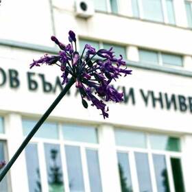 enterance-nbu_280x280_crop_478b24840a