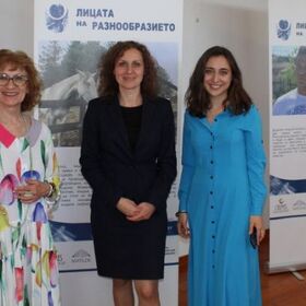 licata-na-raznoobrazieto-sbj-bg-eu_280x280_crop_478b24840a