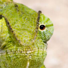 seminar-1_280x280_crop_478b24840a