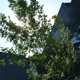 dsc-4586_280x280_crop_478b24840a