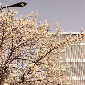 2533967_280x280_crop_478b24840a