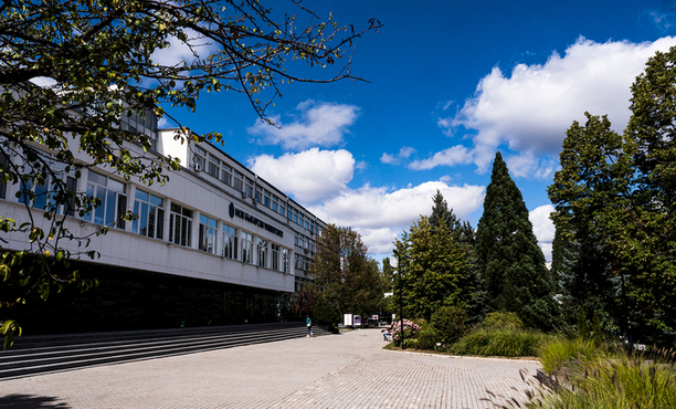 2633670-copy-678x410-crop-478b24840a_612x830_fit_478b24840a