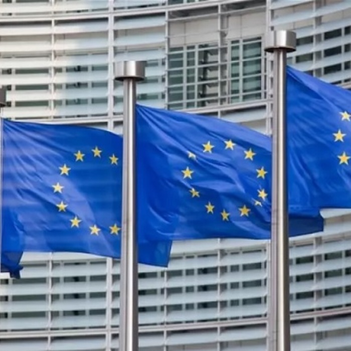 evropejski-cennosti-v-sega_700x700_crop_478b24840a