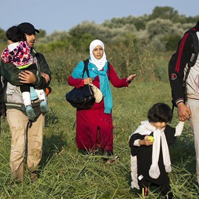 agd_700x700_crop_478b24840a