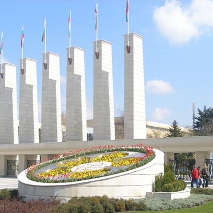 tocno_700x700_crop_478b24840a