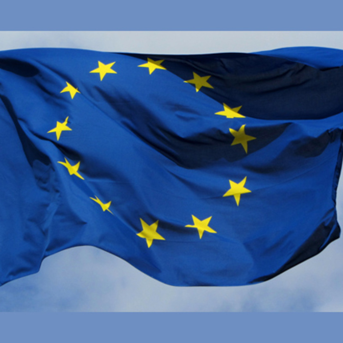 evropeisko-zname_700x700_crop_478b24840a