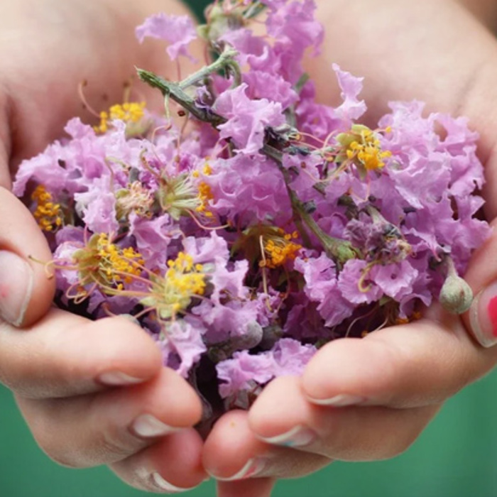 dete-s-cvetq-pixabay_700x700_crop_478b24840a