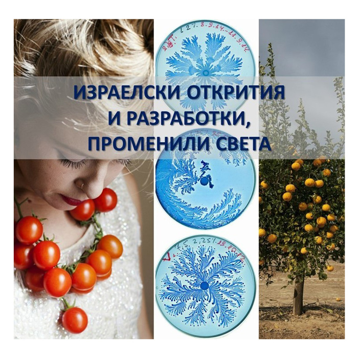 izlojba_700x700_crop_478b24840a