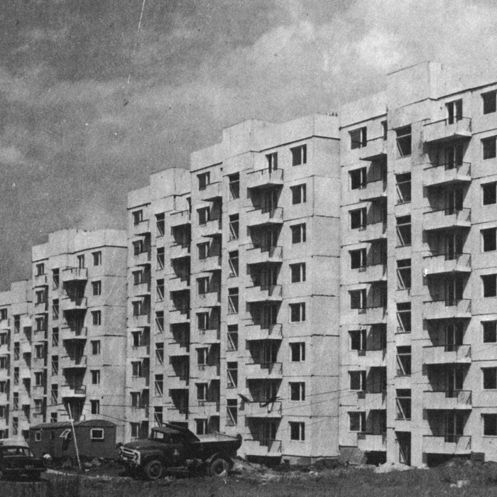 lulin_700x700_crop_478b24840a