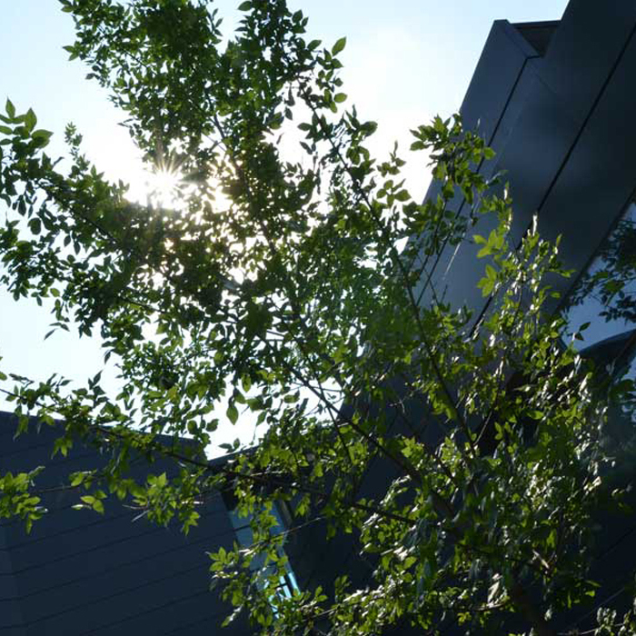 dsc-4586_700x700_crop_478b24840a